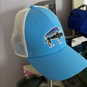 Patagonia Trucker Hat